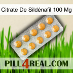 Citrate De Sildénafil 100 Mg levitra1